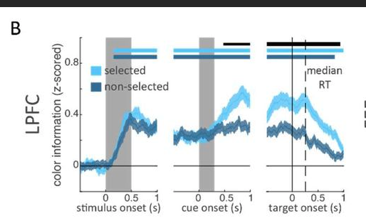 Why? Previous (Watanabe & Funahashi NN 2014) and recent ( @MattPanichello &  @timbuschman Nature 2021) recordings from the monkey PFC have found that unattended memories are very clearly encoded in persistent activity. (13/20)