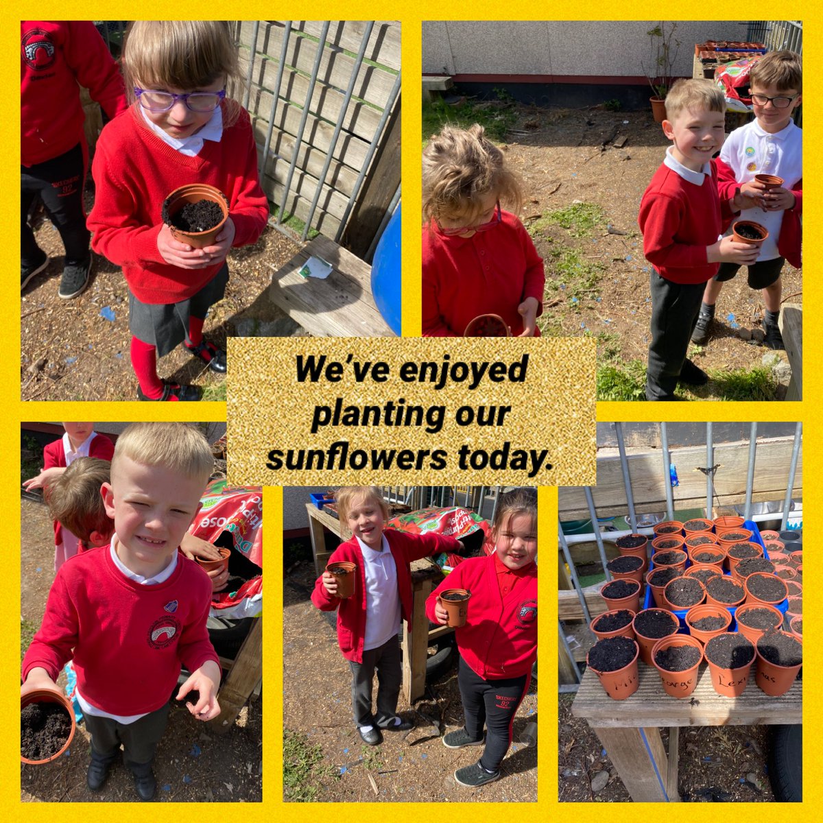 <a href="/PengamPrimary/">Pengam Primary</a> We have planted our sunflowers. We can’t wait to watch them start to grow.