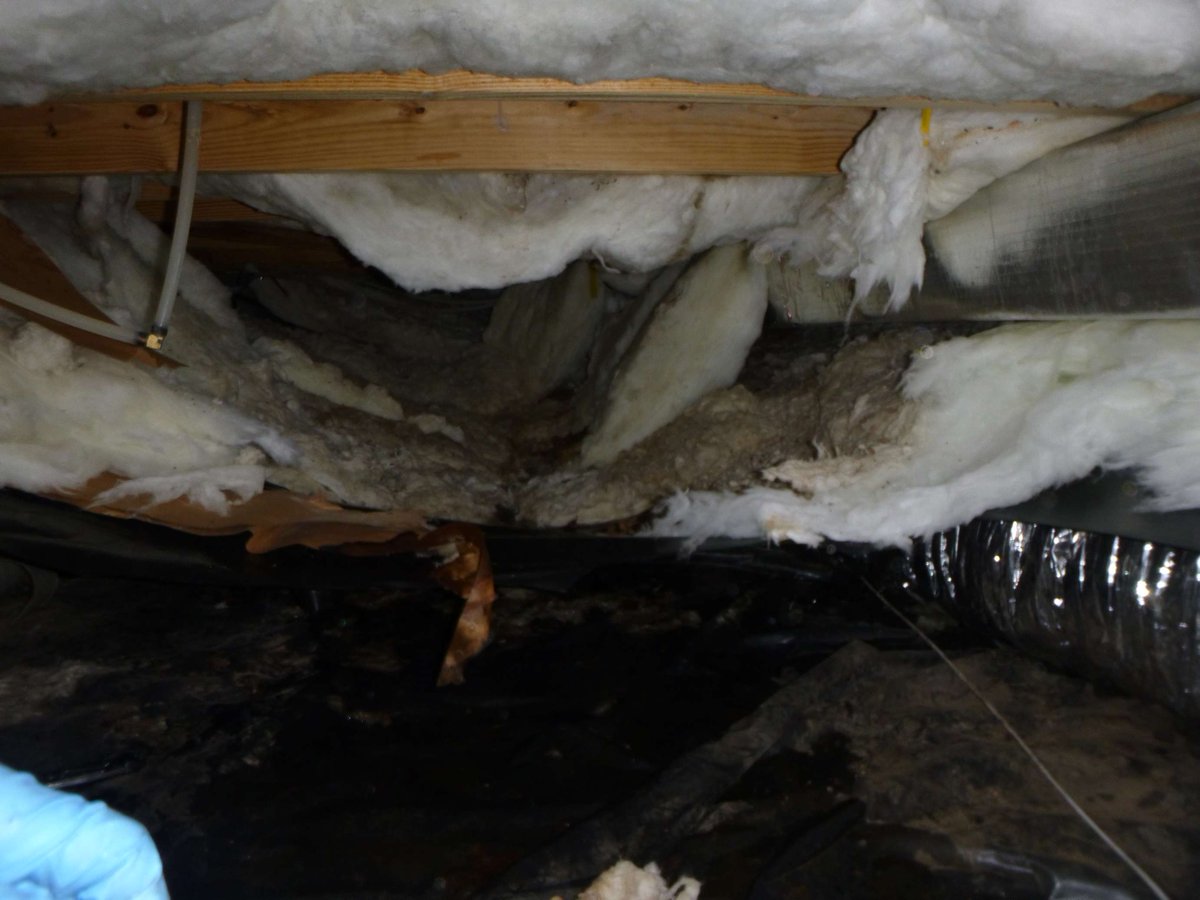 Wow that's a lot of damage! These building materials were affected by a water line break. #waterdamage #waterdamagerestoration #waterdamagerestorationservices #waterrestoration #waterrestorationservices #waterdamagecompany #waterrestorationcompany