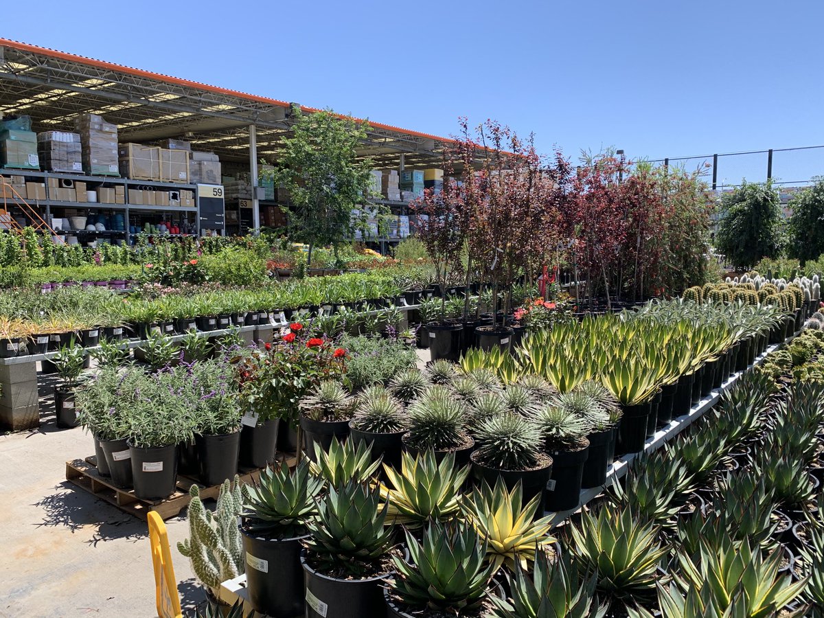 6971 Built for success! Can’t let a beautiful weekend go to waste. 🌵⁦<a href="/Crippen1026/">Christian Crippen</a>⁩