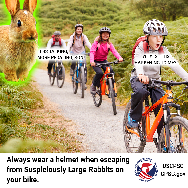 A family riding bikes on vacation being chased by a very large bunny rabbit. The son says, "Why is this happening to me?!"  The dad replies, "Less talking, more pedaling, son!" The text reads: Always wear a helmet when escaping from Suspiciously Large Rabbits on your bike.