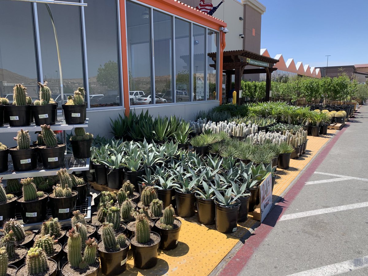 6971 still showing off! 🌵⁦<a href="/Crippen1026/">Christian Crippen</a>⁩