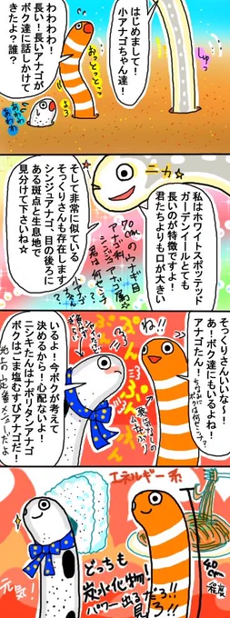 「あなの中へあなご」☆長いあなごキター#チンアナゴ#イラスト#オリジナル漫画 