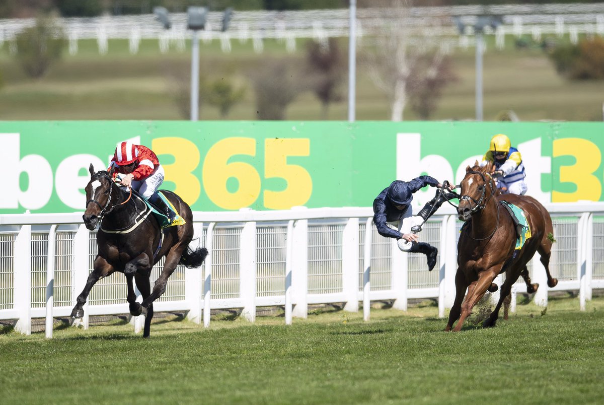 edward_whitaker's tweet photo. A rare sight in flat racing when Ryan Moore was unseated from Rifleman when challenging in the Esher Cup @sandownparkracecourse Both horse and rider were unhurt @racingpost @thejockeyclub #ryanmoore #sportsphotography #nikonproeurope https://t.co/aomSvctzNz