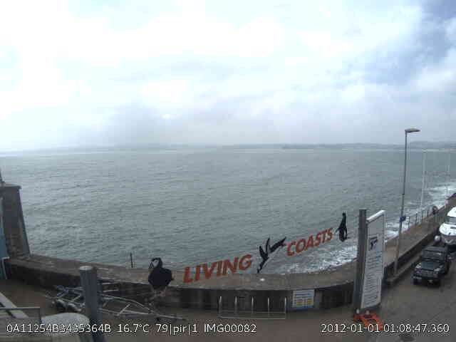 SamSeccombe's tweet image. What’s that? You’ve just sent this image 6.7 Km all the way from Torquay to Brixham! Well done you clever #InstantDetect2 LoRa camera! #Tech4Wildlife