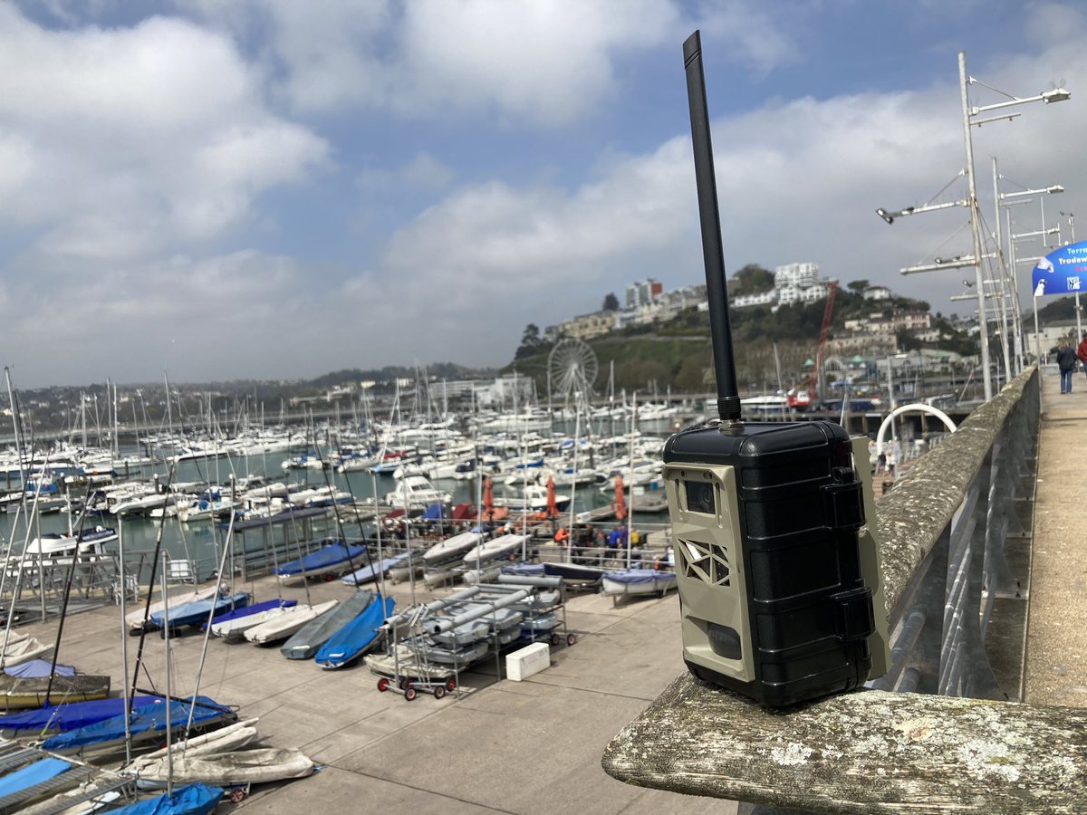 SamSeccombe's tweet image. What’s that? You’ve just sent this image 6.7 Km all the way from Torquay to Brixham! Well done you clever #InstantDetect2 LoRa camera! #Tech4Wildlife
