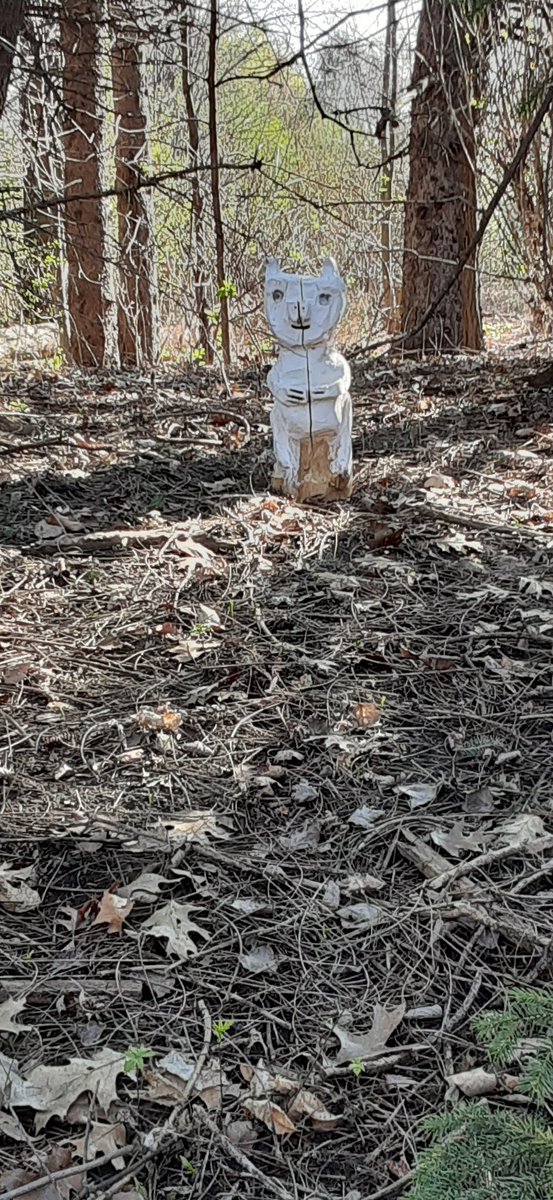the7thseed's tweet photo. #TheCreepyPig fletcher's garden Ottawa https://t.co/bpID0Cqo1G