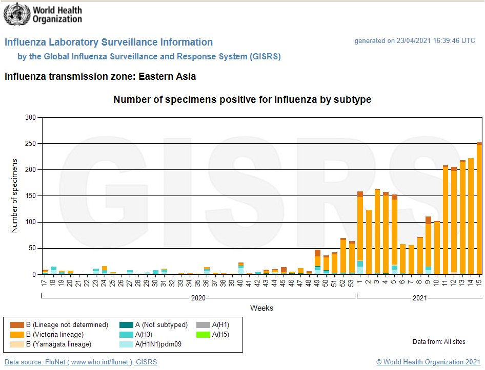 But flu did not disappear everywhere. https://apps.who.int/flumart/Default?ReportNo=4&ITZRegion=