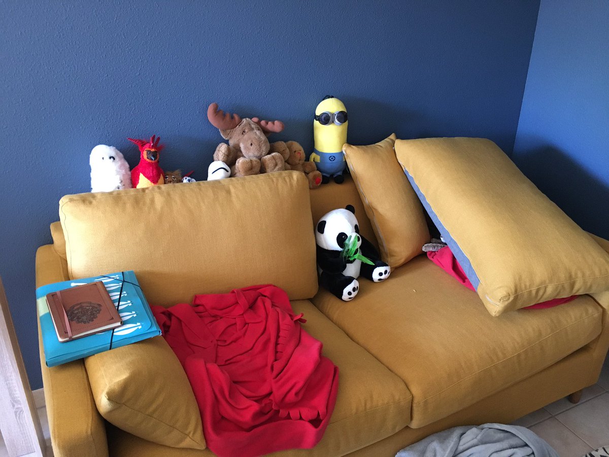 lexislechat's tweet image. #ChatCaché 😽