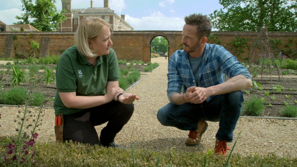 Gardeners' World tonight has all sorts of goodies including a film we made in 2019 at Ham House looking at how to manage box cayerpillar. @GWandShows