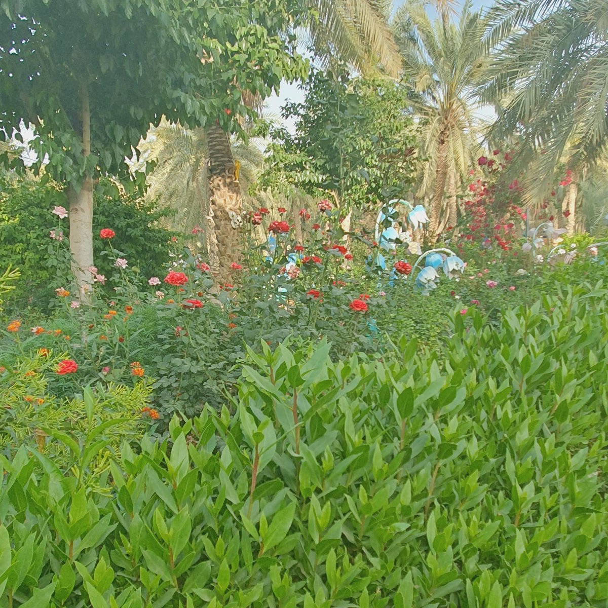 zai87d's tweet image. ولأن الدنيا لا تأتي كما نشتهي، دعوت الله أن يُثبت الرضا في قلبي أيًا كان."