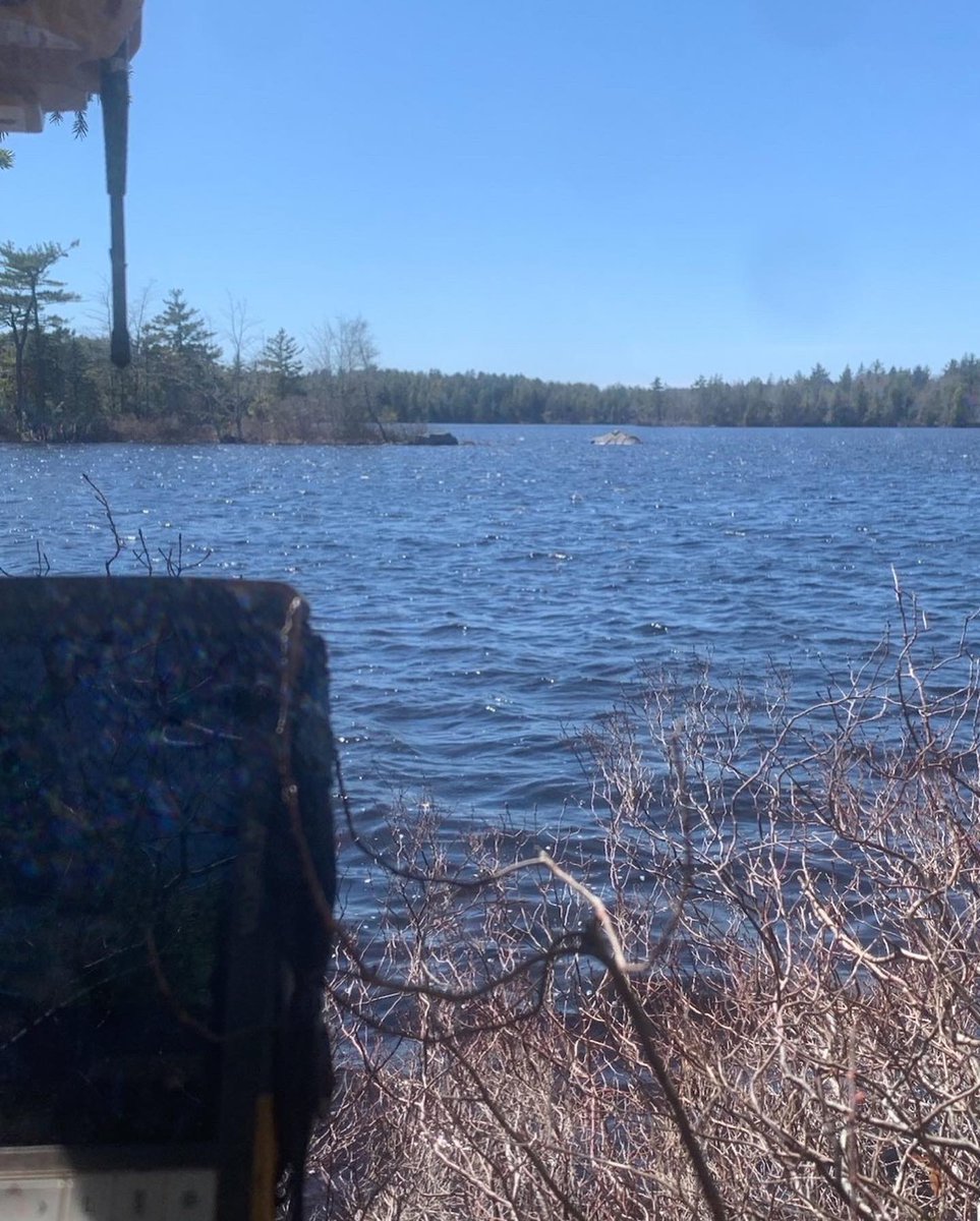 DesignPointEng's tweet image. A beautiful day spent cutting line! Not pictured: the 13 ticks our surveyor found on him at the end of the day...