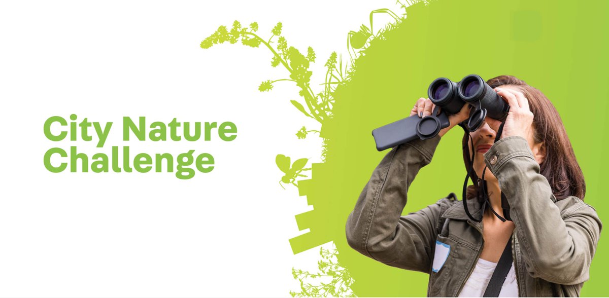 inst_humboldt's tweet photo. Entre el 30 de abril y el 3 de mayo se desarrollará el City Nature Challenge:

✅ Visita https://t.co/wwdgIeMoR8.
✅Descarga la aplicación desde la AppStore o Google Play.
✅ Comparte tus observaciones.
✅Obtén comentarios de científicos, expertos y otros naturalistas. https://t.co/Kp6MfGqyt2
