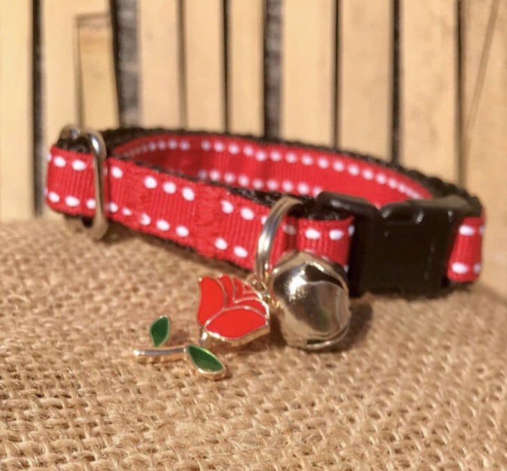 #happystgeorgesday 🏴󠁧󠁢󠁥󠁮󠁧󠁿 we have plenty of #patriotic products for your pet online. Including flag of the world bandanas. #StGeorgesDay #StGeorgesDay2021 #patrioticpooch 🗡🏴󠁧󠁢󠁥󠁮󠁧󠁿 #patrioticpets #FridayFeeling #knight #dogsoftwitter zukiestyle.co.uk