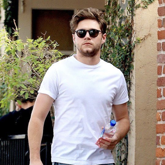 niall horan in sunglasses — a necessary thread <3