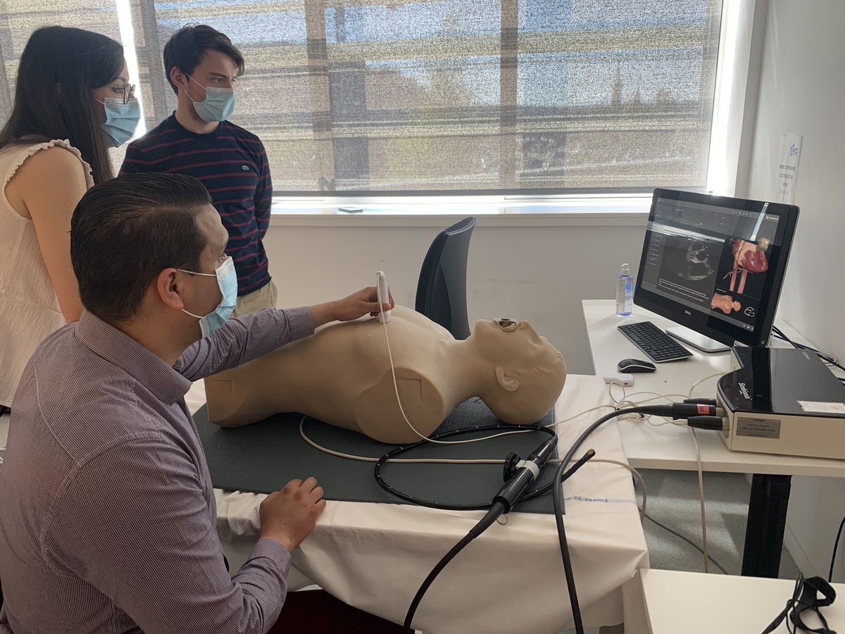 ThomasBarbe's tweet photo. Journée anatomie cardiaque et simulation au CHU de Rouen au top!!!  👍😍#echo #kt #mtc #simulation @LevesquThomas @fabien_doguet @CharlesFauvel @Cardio_CHURouen @heleltchaninoff @AlainCribier https://t.co/w00CaR3yiV