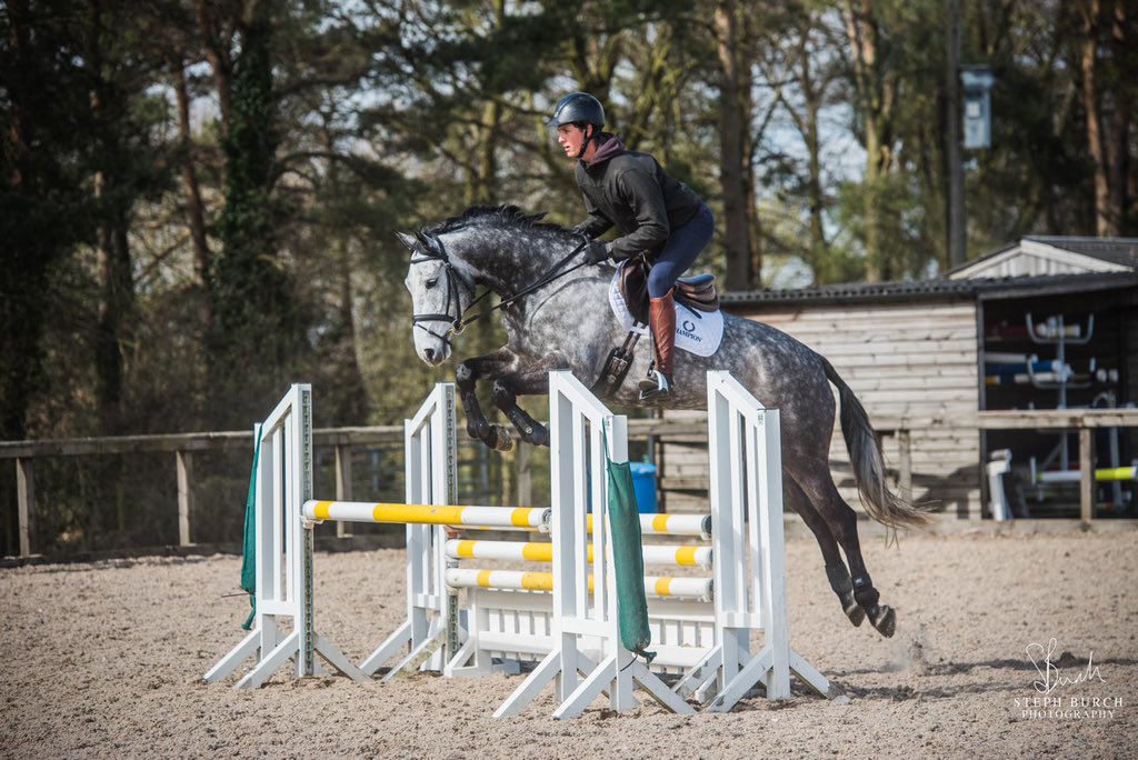 Happy Birthday to Gorgeous George on St George’s day 😁🍀🍀