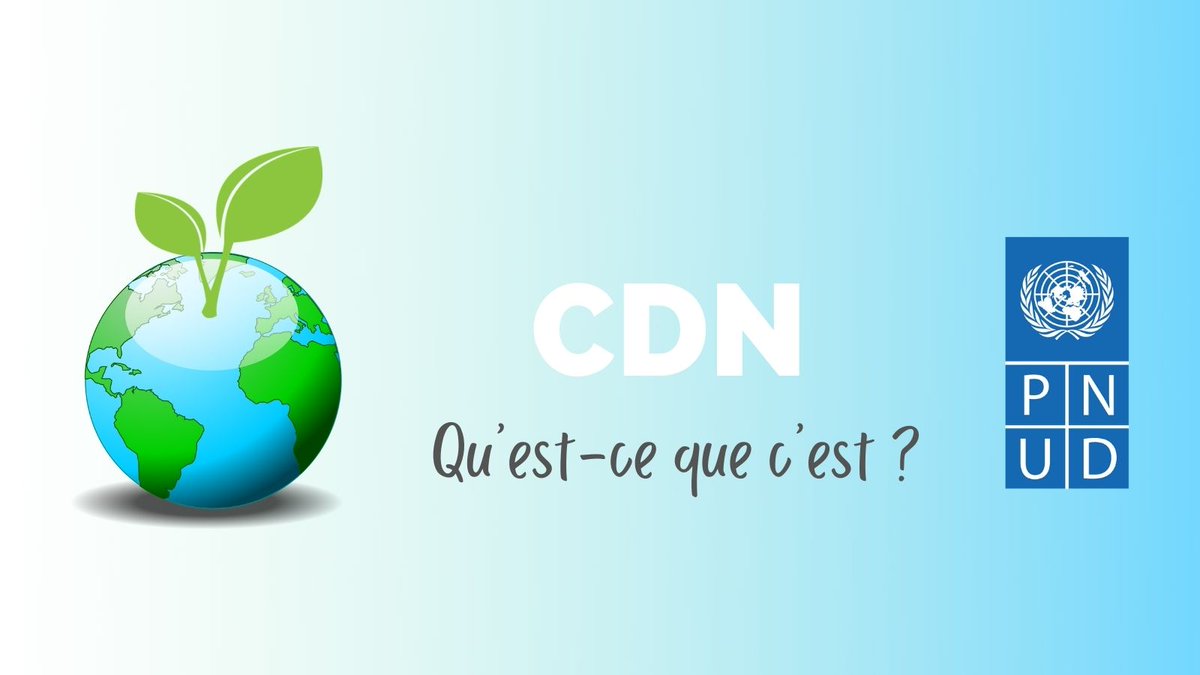 PNUD Centrafrique (@pnud_rca) on Twitter photo Dans le domaine de lutte contre le changement climatique, <a href="/PNUD_RCA/">PNUD Centrafrique</a> appuie le Gouvernement 🇨🇫 notamment pour la révision des contributions déterminées au niveau national (CDN).
Que sont les CDN ? Pour en savoir plus, cliquez sur le lien 👉🏿 bit.ly/3xkkbxG Dans le domaine de lutte contre le changement climatique, <a href="/PNUD_RCA/">PNUD Centrafrique</a> appuie le Gouvernement 🇨🇫 notamment pour la révision des contributions déterminées au niveau national (CDN).
Que sont les CDN ? Pour en savoir plus, cliquez sur le lien 👉🏿 bit.ly/3xkkbxG