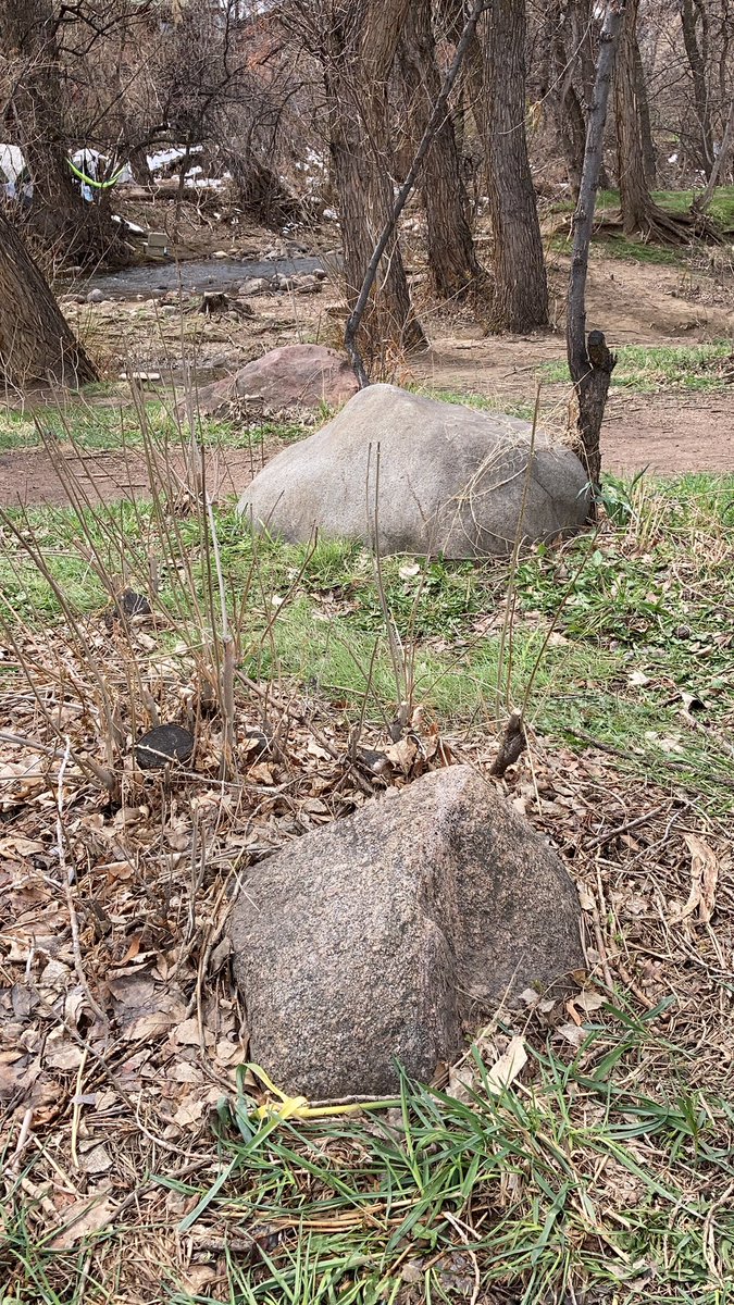 Note the rock in the foreground. This is only found in the canyon, which means it was carried down in a flood event.