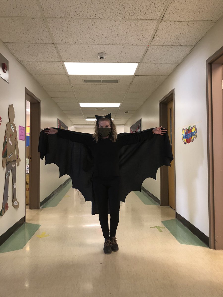 My class enjoyed Silverwing so much I had to do it @kennethoppel #shade #silverwing #hibernaculum #adventure #readaloud 🦇