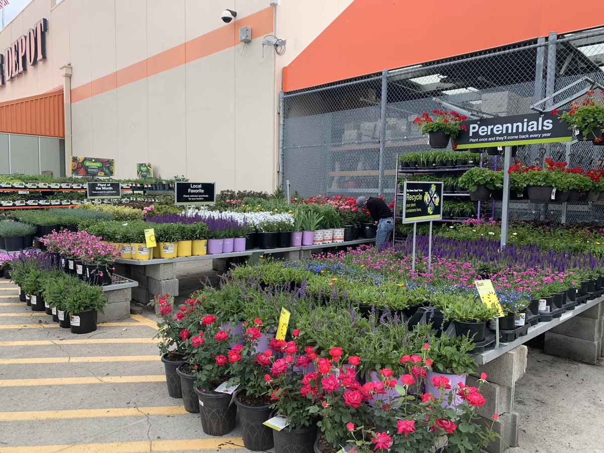 Amanda Fore (@fore_amanda) on Twitter photo HD 2025 looking so fresh!!!! Awesome job watering HD π§‘π§‘π§‘ πππ<a href="/jody_delicato/">Jody Delicato</a> <a href="/rmathis333_rick/">Rick Mathis</a> <a href="/BellNursery/">Bell Nursery</a> <a href="/KOKOLGM/">Mark Kociubinski</a> <a href="/Matthew10903420/">Matthew Walker</a> HD 2025 looking so fresh!!!! Awesome job watering HD π§‘π§‘π§‘ πππ<a href="/jody_delicato/">Jody Delicato</a> <a href="/rmathis333_rick/">Rick Mathis</a> <a href="/BellNursery/">Bell Nursery</a> <a href="/KOKOLGM/">Mark Kociubinski</a> <a href="/Matthew10903420/">Matthew Walker</a>