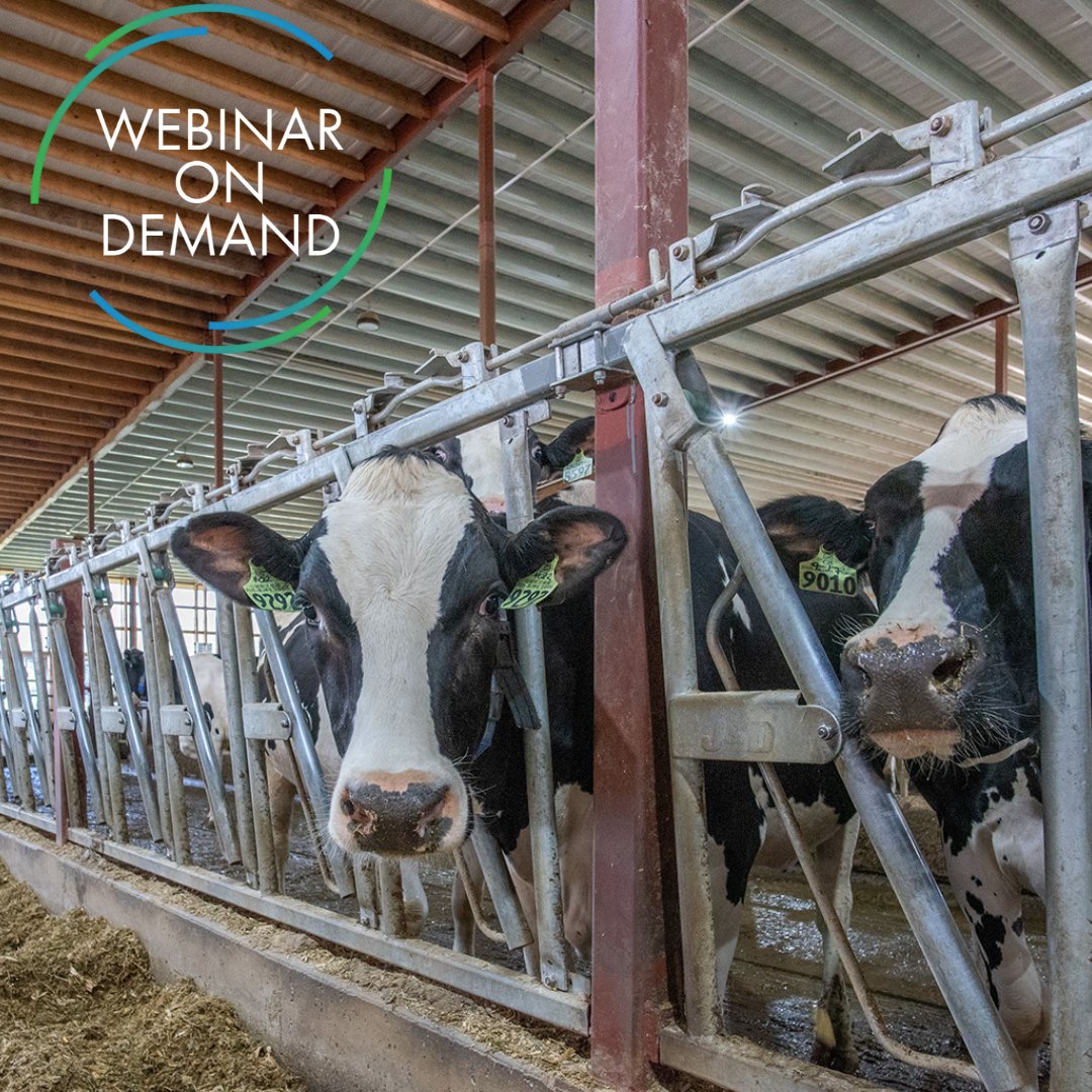 Thank you to everyone who joined us and <a href="/GHGGuru/">Frank Mitloehner</a> as we discussed dairy's role in a path to climate neutrality.

If you missed the webinar, no worries! We have the recording available for you on demand: ow.ly/Dxsb50Ej6YE
