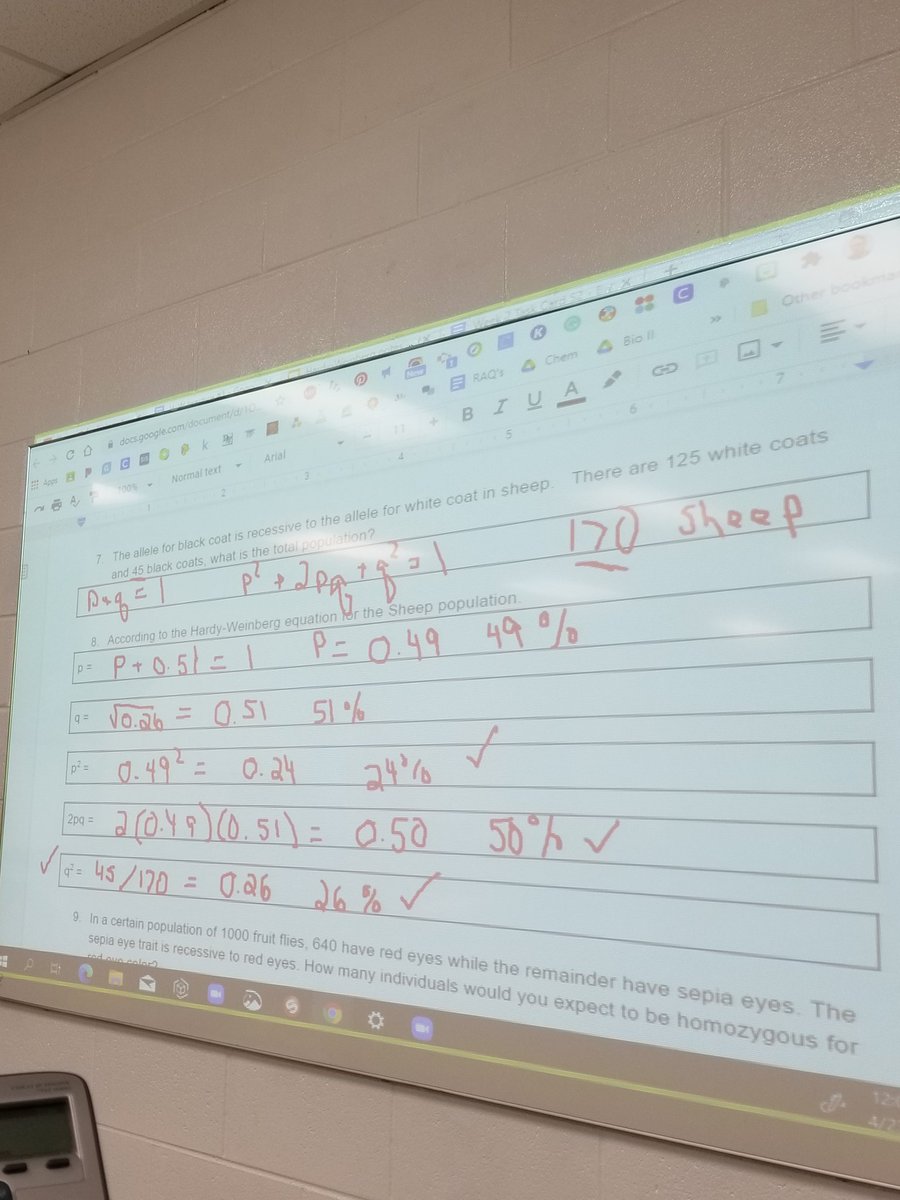 So you say there's no math in Biology class??  Don't tell these Ss.  We're using math to study population genetics.  Hardy-Weinberg equilibrium!  #Harvardrising