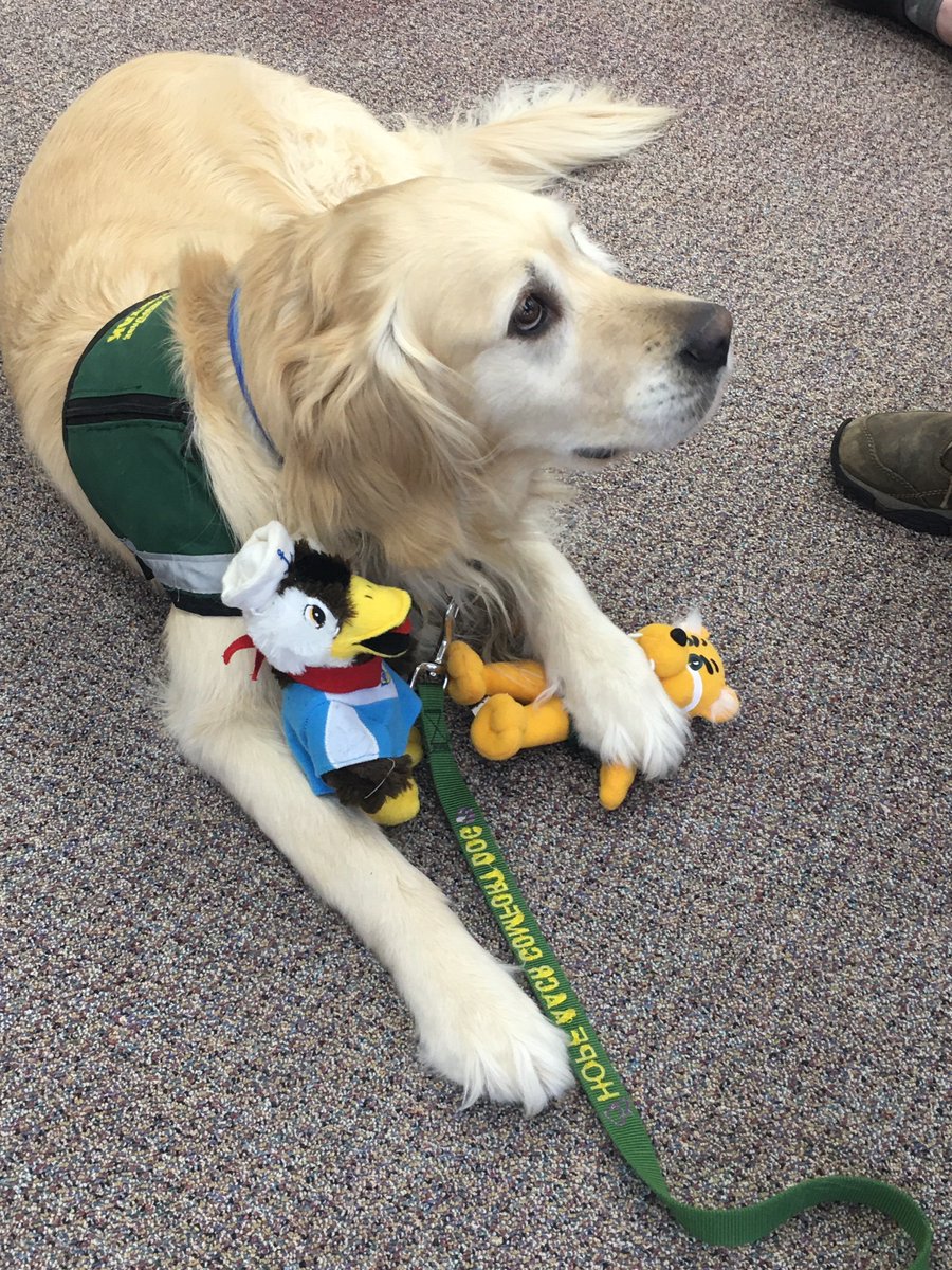 LSSU Library tweet media