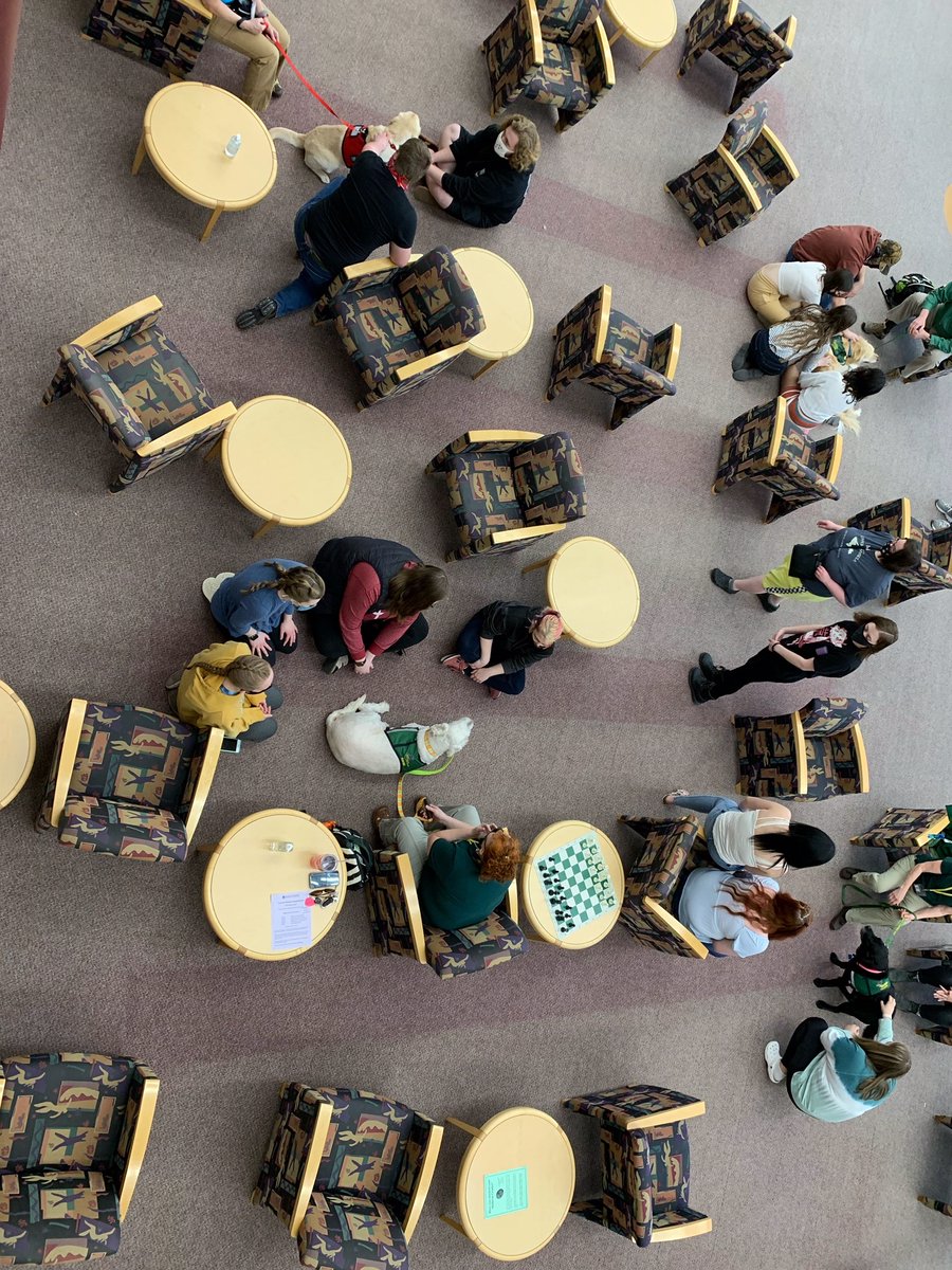 LSSU Library tweet media