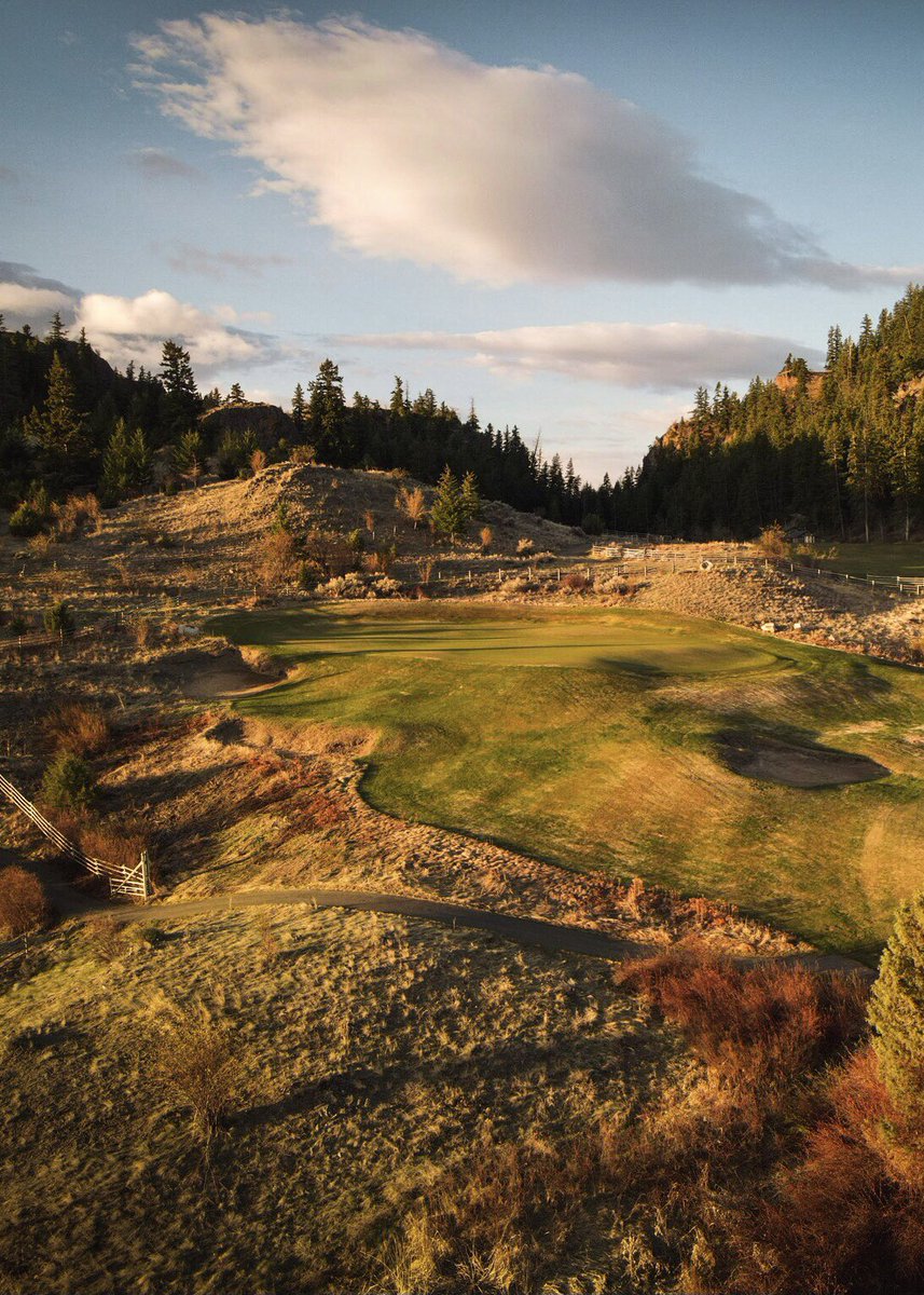 p6rgolf tweet media