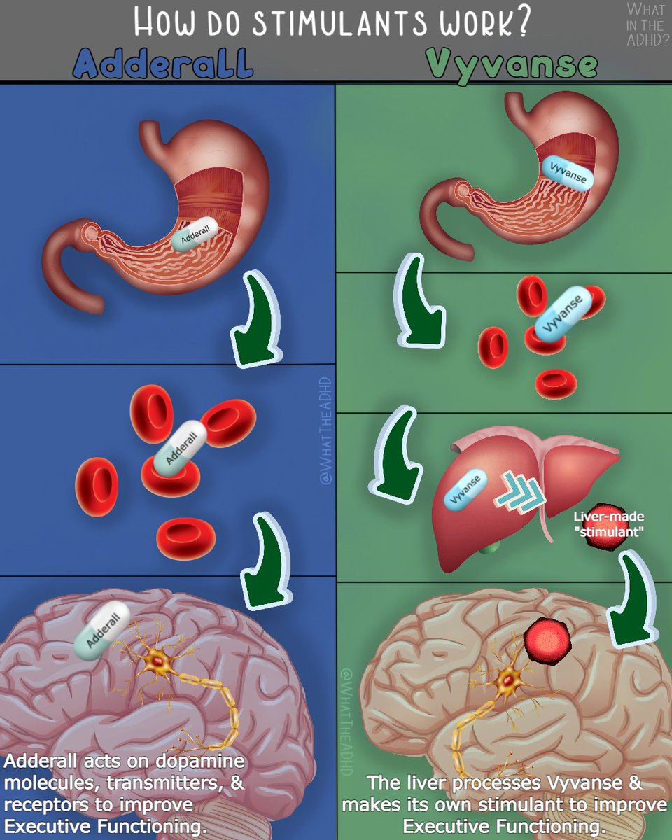 How do stimulants work??Here's a basic depiction of the mechanism of action for both Adderall and Vyvanse. They're both stimulants, but are metabolized differently.