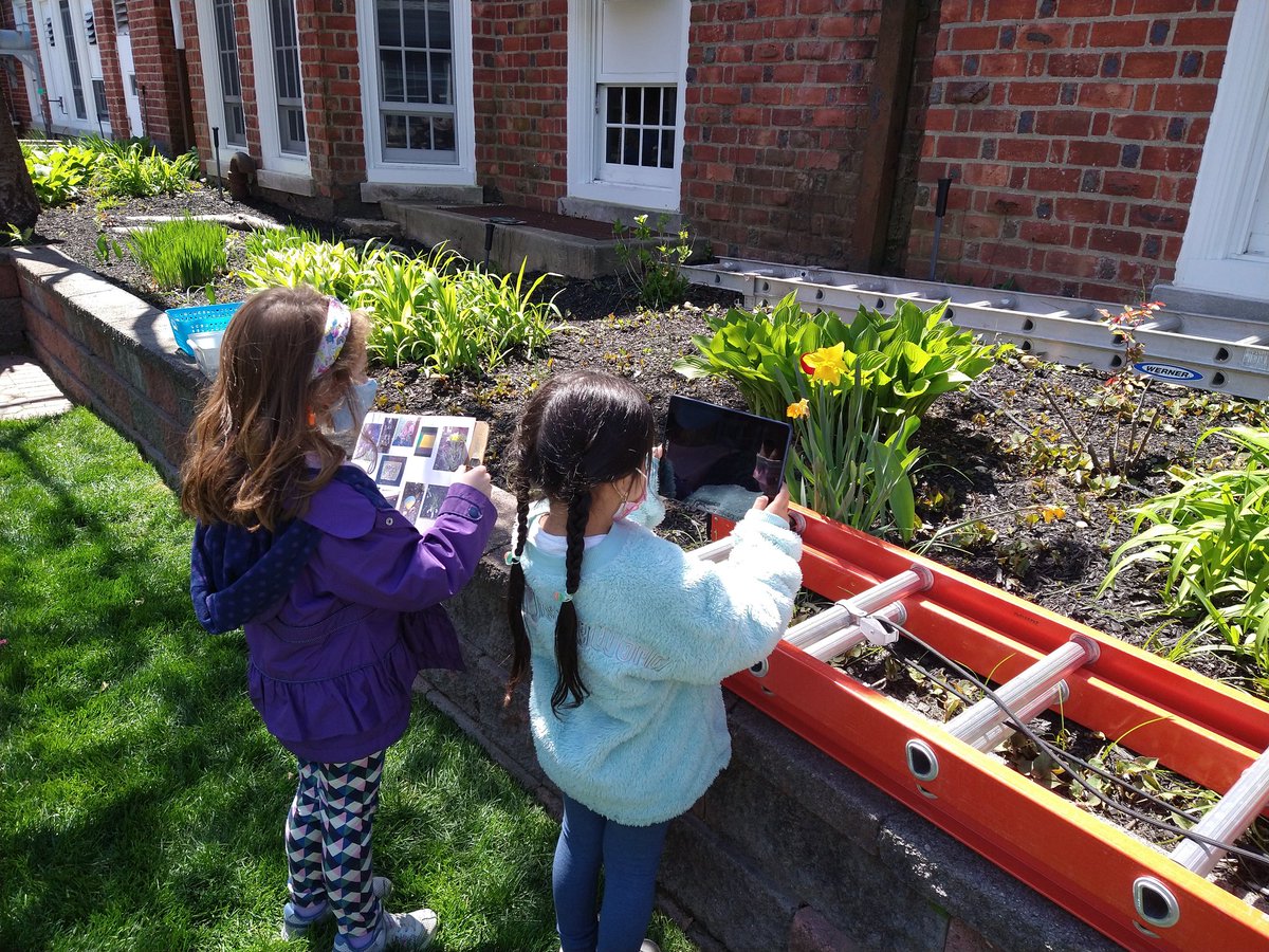 NSComputerTech's tweet image. @NSComputerTech our kdg ss (Mrs. Casano) went on a scavenger hunt in our courtyard and used their tablet camera app to photograph all the hidden treasures. Great team work and beautiful photos.