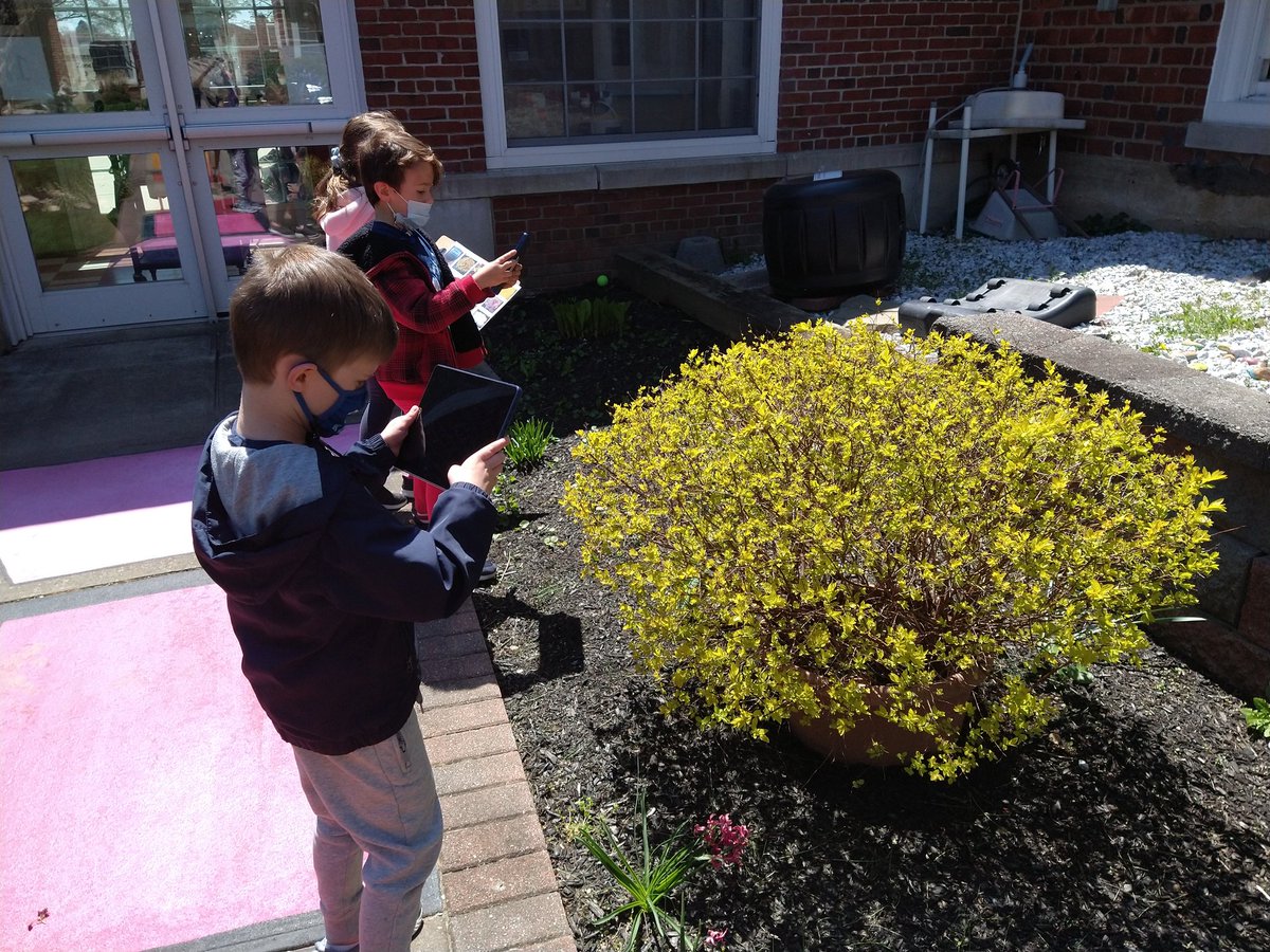 NSComputerTech's tweet image. @NSComputerTech our kdg ss (Mrs. Casano) went on a scavenger hunt in our courtyard and used their tablet camera app to photograph all the hidden treasures. Great team work and beautiful photos.