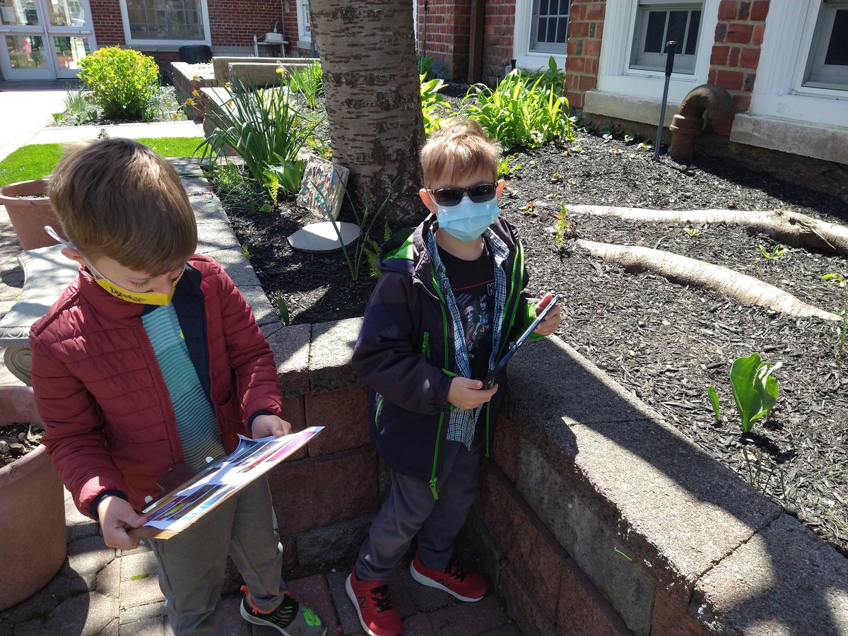 NSComputerTech's tweet image. @NSComputerTech our kdg ss (Mrs. Casano) went on a scavenger hunt in our courtyard and used their tablet camera app to photograph all the hidden treasures. Great team work and beautiful photos.