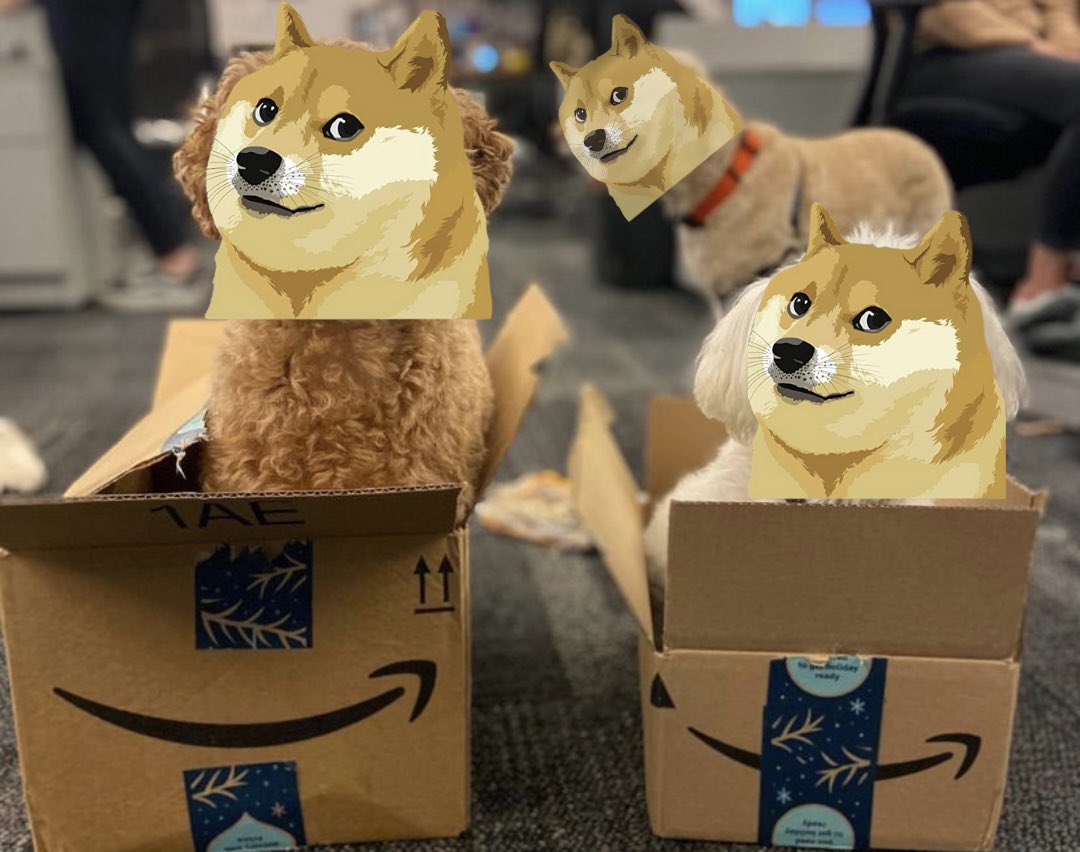 DogecoinRise's tweet photo. #Doge4Amazon Pass It On. https://t.co/na5W2cn362