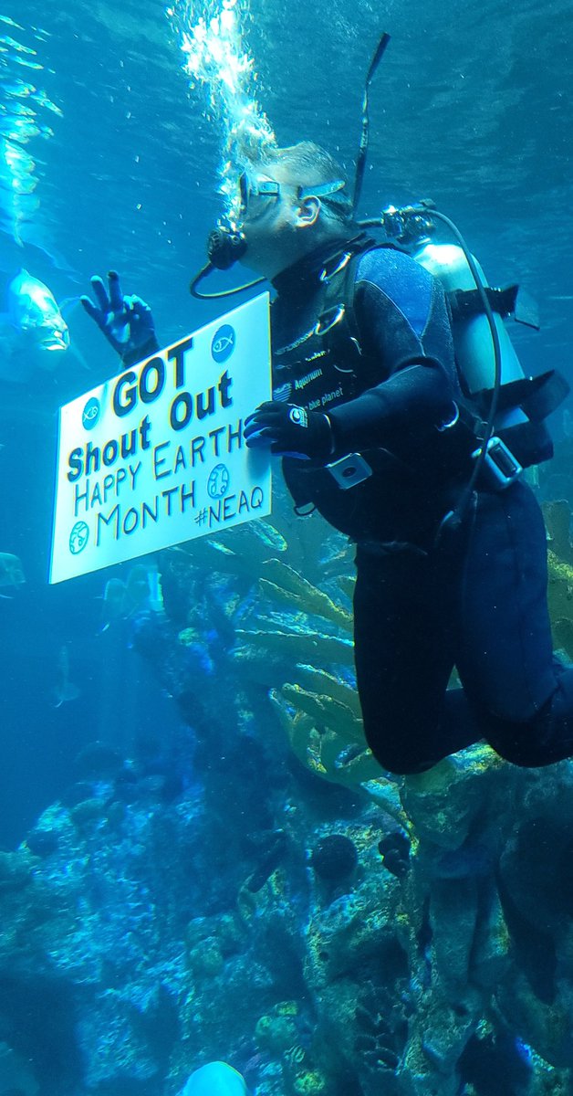 LermanC's tweet image. #NEAQ Happy Earth Month 🌎