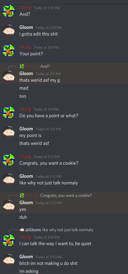 Here's the entire conversation I had with them on Discord.(Note: that I have not edit them, minus cropping them a bit to show the conversation and nothing on the server or server details this beef took part in.)