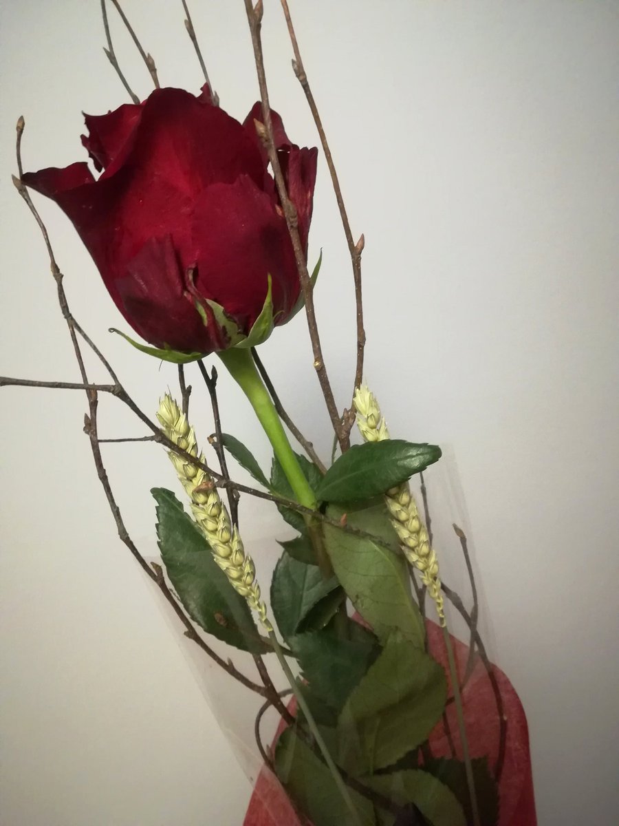 VictorVT22's tweet photo. Existirà alguna situació més afortunada que tindre una amiga que et toca al timbre, baixes i et porta açò?

Haurem de reivindicar més el #SantJordi de l'amistat, un tipus d'amor també per a tota la vida. 😍

Tinc tanta sort amb @noseque_24! 🤗 https://t.co/Z6PLoJACzj