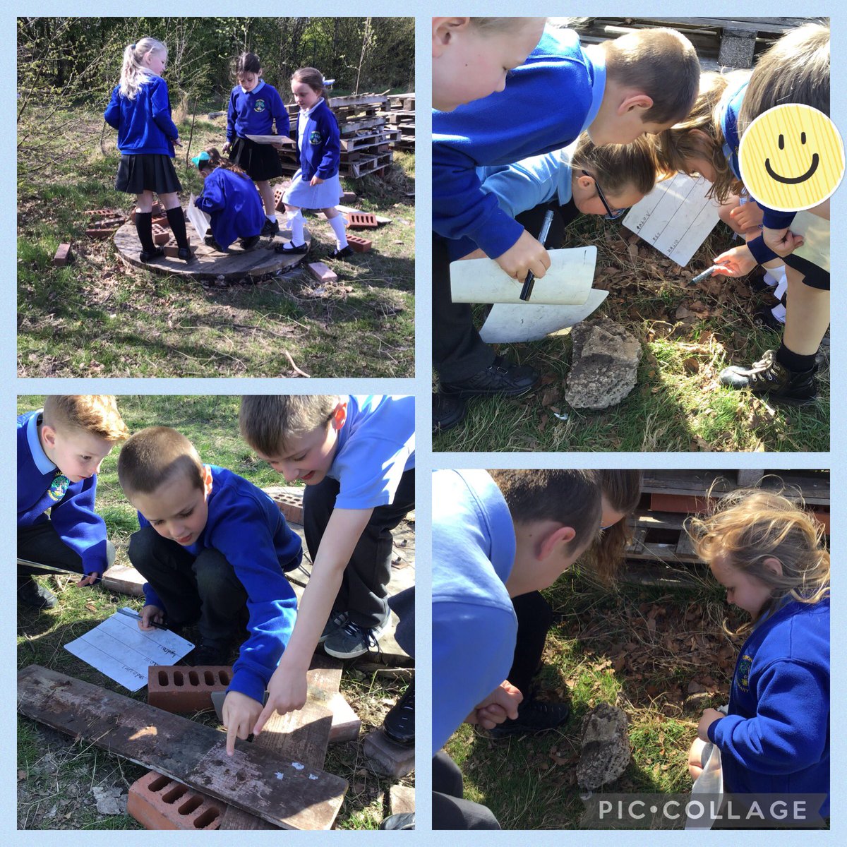 Making the most of the wonderful weather and our fantastic forest school area! We went on a hunt to find out which skeleton type was the most common on our school grounds. Due to the amount of bugs we found, it turned out that exoskeletons were the most common. @simonsideschool