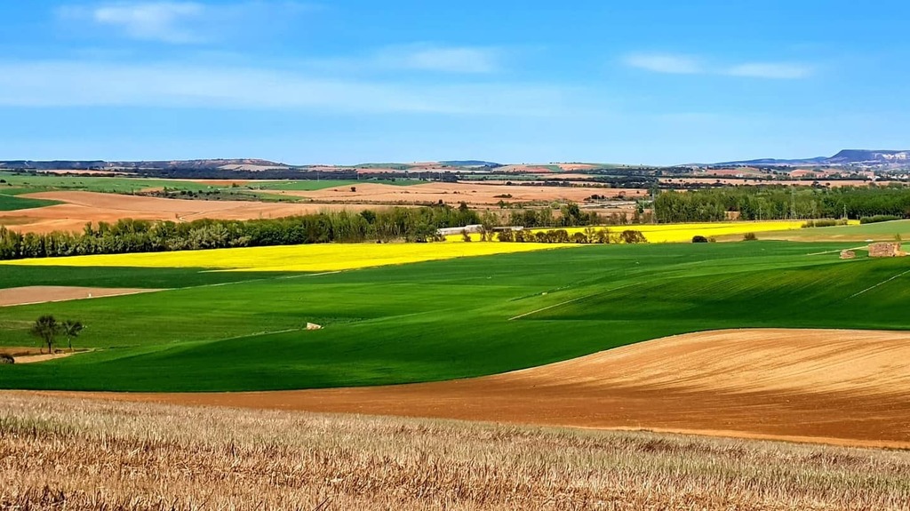 AytoEspinosa's tweet photo. No hay que irse muy lejos para disfrutar de unas bonitas vistas #espinosadehenares https://t.co/Cj37sntyoq https://t.co/SoJpk0LQcV