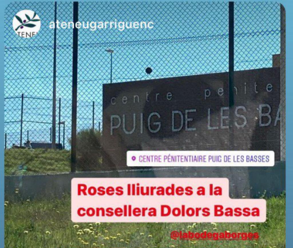 Dolors Bassa tweet media