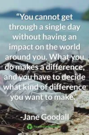 Ms. Martin's Grade 4 Class tweet media