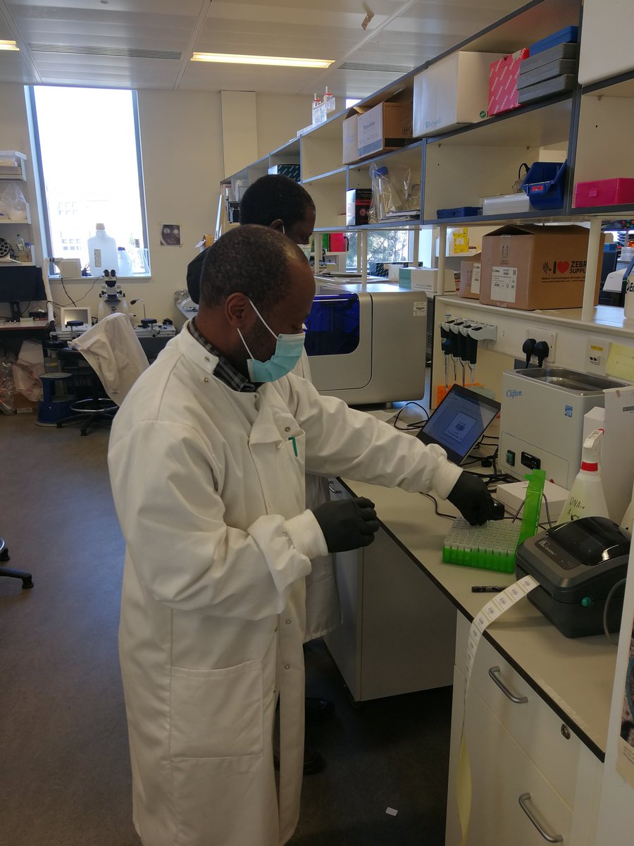 Wilber Sabiiti (@sabiitiwwilber) on Twitter photo Getting tools for TB treatment monitoring out to the world #TBMBLA <a href="/vitalbacteria/">VitalBacteria St Andrews</a> <a href="/Infection_StAnd/">Infection St Andrews</a> <a href="/StAndMedicine/">School of Medicine</a> <a href="/TBtrials_StAnd/">TB Trials @ Uni of St Andrews</a> <a href="/univofstandrews/">University of St Andrews</a> <a href="/WillySsengooba/">Willy ssengooba</a> <a href="/StopTB/">Stop TB Partnership</a> <a href="/derekjsloan/">Derek Sloan</a> <a href="/GCRF/">Global Challenges Research Fund (GCRF)</a> <a href="/MpagamaStellah/">Stellah Mpagama</a> <a href="/NIMRMbeya/">NIMR Mbeya</a> <a href="/NNtinginya/">Nyanda E Ntinginya</a> @MakerereU <a href="/KCRITanzania/">Kilimanjaro Clinical Research Institute</a> <a href="/PanACEA_II/">PanACEA</a> <a href="/EDCTP/">EDCTP</a> Getting tools for TB treatment monitoring out to the world #TBMBLA <a href="/vitalbacteria/">VitalBacteria St Andrews</a> <a href="/Infection_StAnd/">Infection St Andrews</a> <a href="/StAndMedicine/">School of Medicine</a> <a href="/TBtrials_StAnd/">TB Trials @ Uni of St Andrews</a> <a href="/univofstandrews/">University of St Andrews</a> <a href="/WillySsengooba/">Willy ssengooba</a> <a href="/StopTB/">Stop TB Partnership</a> <a href="/derekjsloan/">Derek Sloan</a> <a href="/GCRF/">Global Challenges Research Fund (GCRF)</a> <a href="/MpagamaStellah/">Stellah Mpagama</a> <a href="/NIMRMbeya/">NIMR Mbeya</a> <a href="/NNtinginya/">Nyanda E Ntinginya</a> @MakerereU <a href="/KCRITanzania/">Kilimanjaro Clinical Research Institute</a> <a href="/PanACEA_II/">PanACEA</a> <a href="/EDCTP/">EDCTP</a>