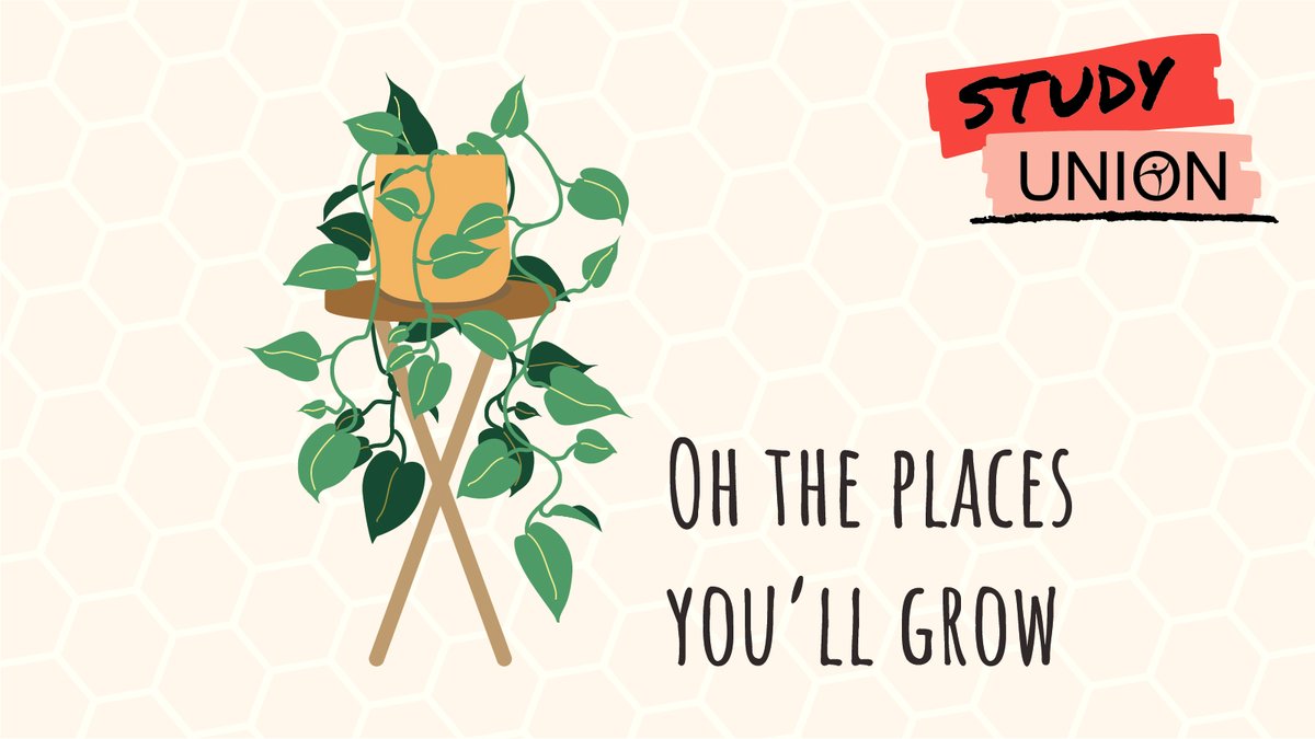 FSUStudentUnion's tweet photo. As finals week ends, we wish you the best in all the places you'll grow 🌱 #StudyUnion https://t.co/yw9FLWDZ42