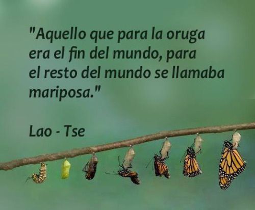aglezramirez's tweet photo. https://t.co/CVFC1IvhGw