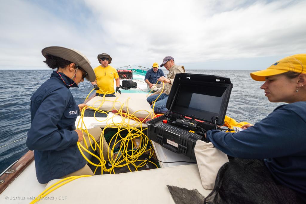 In 2018, I got a Nat Geo Society grant + help from the  @Videoray team, enabling me to lead my first expedition exploring unchartered seamounts.