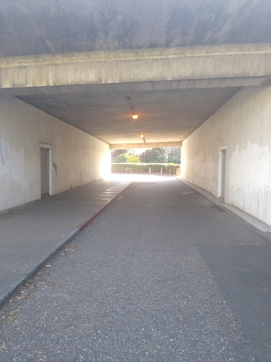 Perambulating_H's tweet photo. Post-vacine walk back from Chesterton Bowls Club this morning, via Elizabeth Bridge underpass. #underpass #psychogeography #cambridge #elizabethbridge #brutalist #COVID19 https://t.co/I9L4XgCvik
