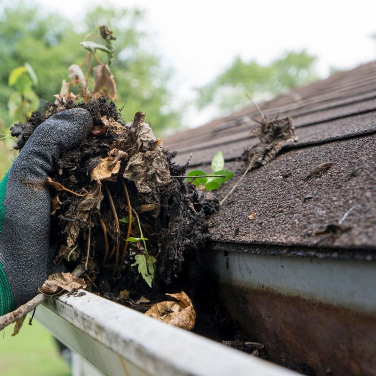 Avoid flooding during spring showers by giving us a call to clear your gutters out: (303) 660-9394.