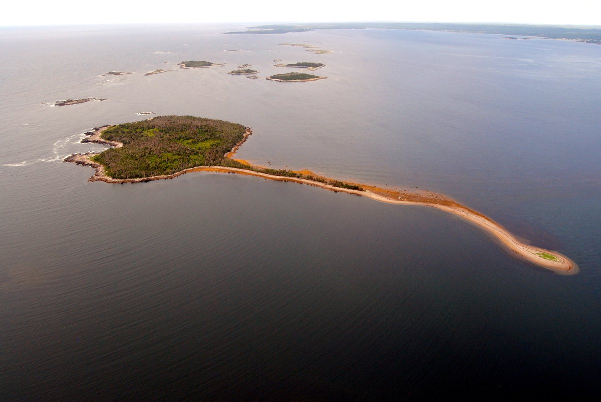 Sugar Harbour Islands in Guysborough County will be designated as a nature reserve to protect seabird colonies. This site is also an Important Bird Area. (  @ns_environment )