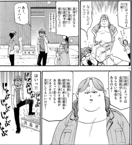 ウマ娘の影響で牧場見学したくなったら 知っておきたい衛生面の話 馬に限らず畜産の現場はほんとこれ Togetter